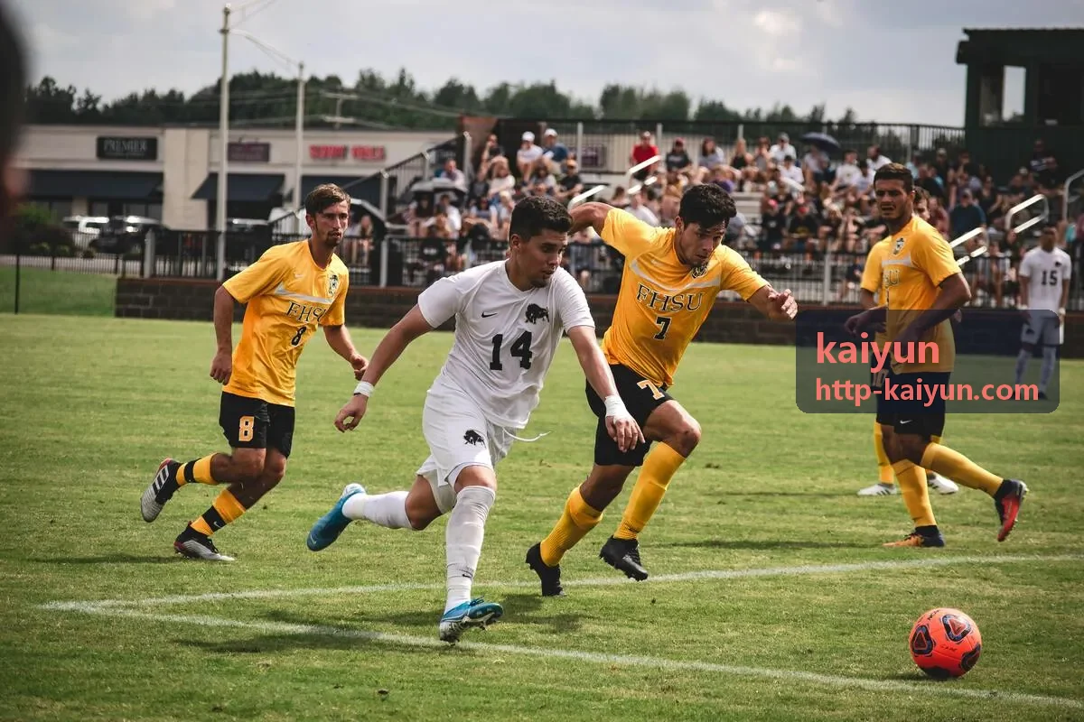 kaiyun客户专访